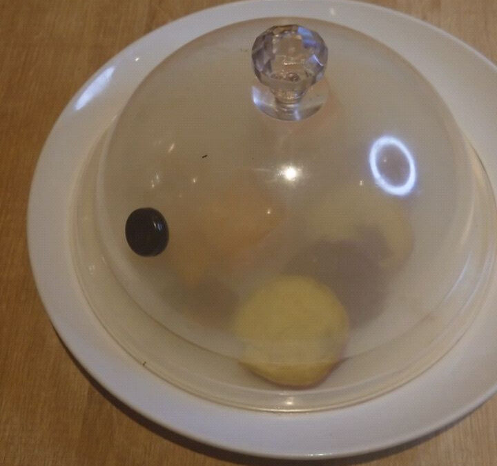 パスタ職人のいるイタリアン